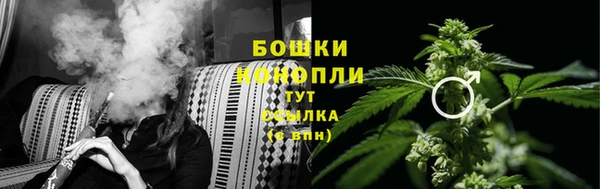 соль курить ск Каменка