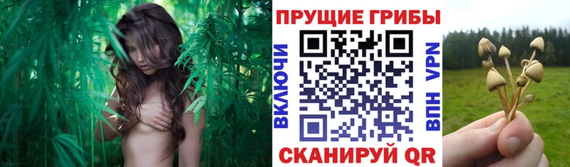 Псилоцибиновые грибы мухоморы  Купить где  Армавир 