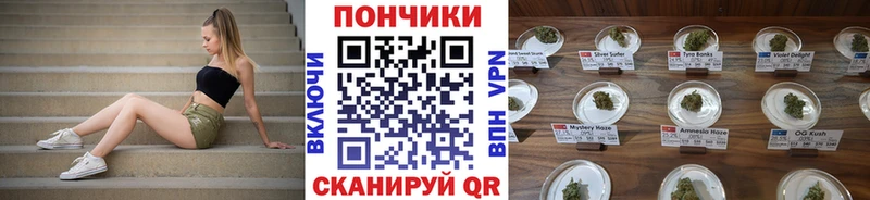Конопля план  Купить закладки  Армавир 
